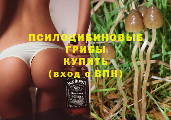 амф Строитель