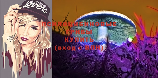 амф Строитель