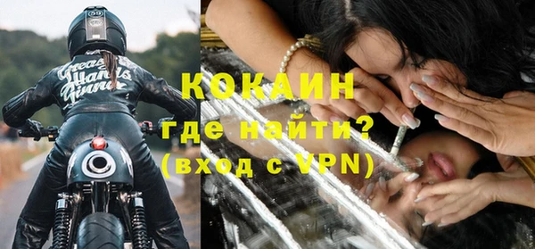 прущие грибы Ступино