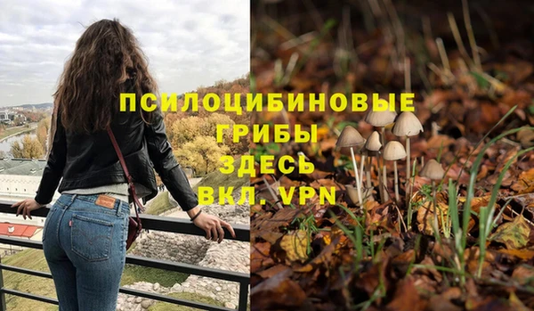 амф Строитель