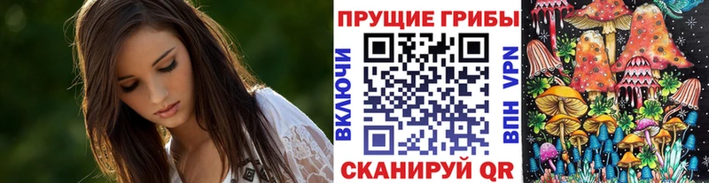 Псилоцибиновые грибы мицелий  Купить  Верхнеуральск 
